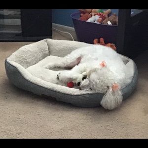 Meet your Posher, Kim